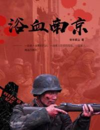 浴血南京小说新笔趣阁