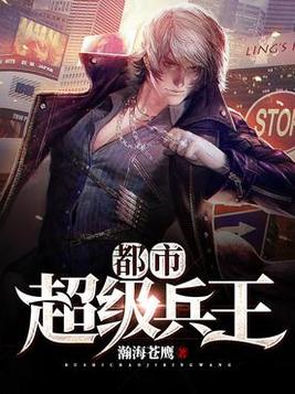 都市超级兵王瀚海苍鹰
