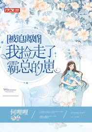 被迫离婚,我捡走了霸总的崽全写的什么
