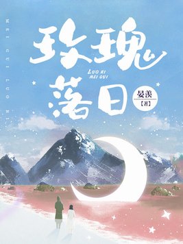 玫瑰落日小说