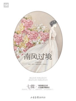 南风过境七微 小说