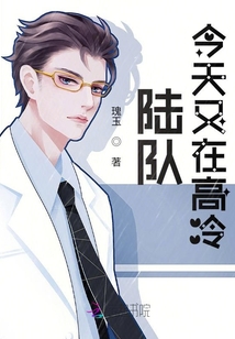 陆队今天又在高冷小说TXT