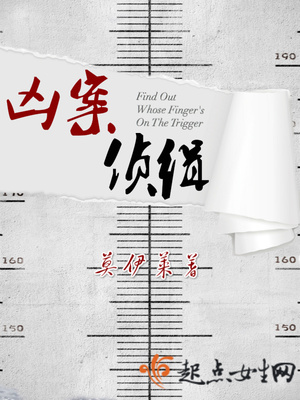 凶案侦缉txt