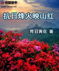 我想看抗日烽火