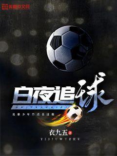 白夜追破晓