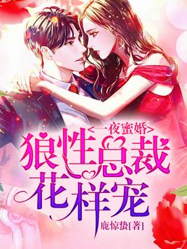 一夜蜜婚：狼性总裁花样宠！