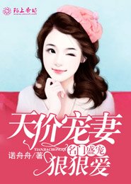 名门盛宠小说