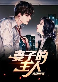 妻子的主角光环图