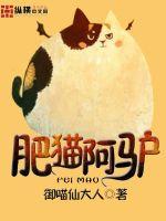 肥猫和阿旺