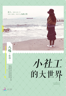 小社工的大世界小说