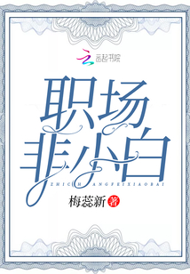 职场小白成长感悟