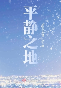 平静之地稳定化技术