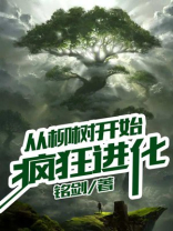 从柳树开始疯狂进化 铭剑 TXT免费下载