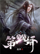 万古第一婿小说免费阅读