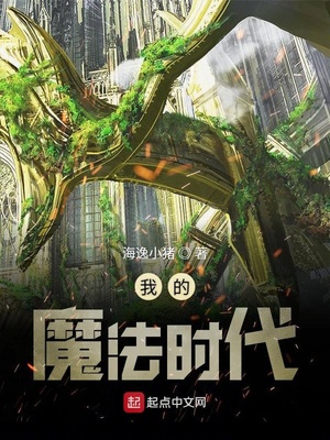 我的魔法时代校对版TXT下载