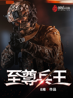 至尊兵王小说