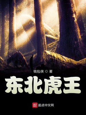 钱包侠写的东北虎王