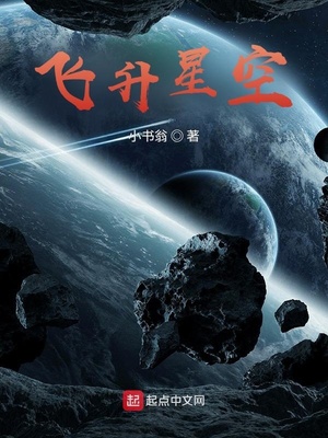 飞升星空TXT
