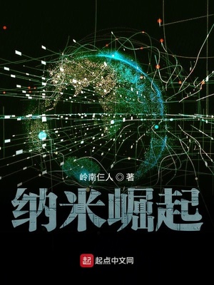 纳米崛起小说