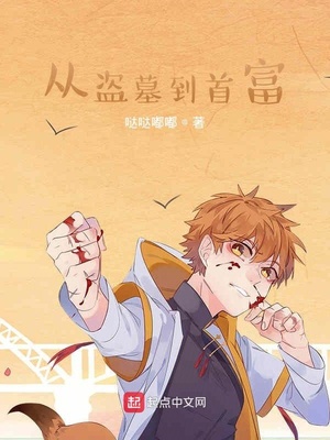 从盗墓到首富 小说