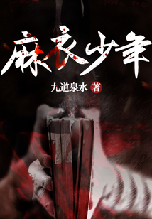 麻衣少年小说结局如何理解