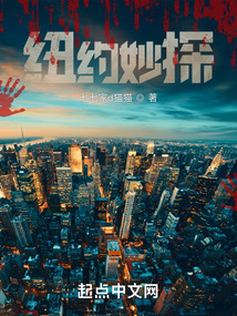 纽约的侦探主要内容