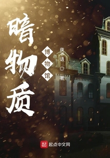 暗物质图书馆