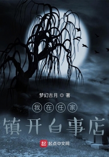 我在任家镇开白事店免费阅读