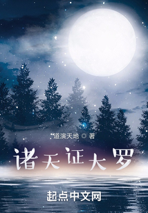 诸天证大罗免费阅读