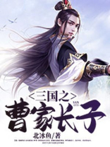 三国之曹家长子 小说