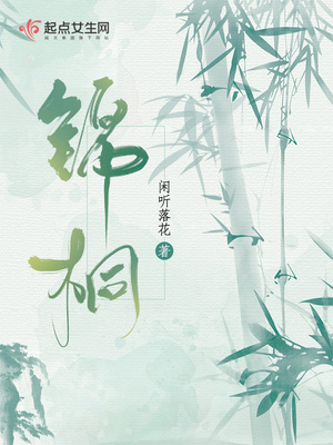 锦桐小说讲的什么