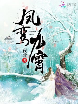 凤鸾九霄小说免费阅读