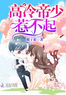 高冷帝少惹不起小说