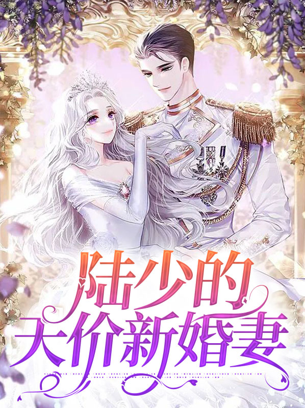 陆少的天价宠妻全文免费