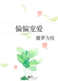 偏偏宠爱江忍