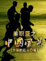 美职篮之中国风暴 小说