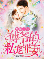 傅三爷宋风晚免费阅读全文
