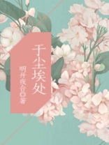 于尘埃处小说免费阅读