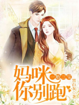 一胎三宝:妈咪你别跑小说
