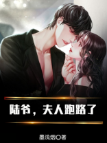 陆爷,夫人跑路了