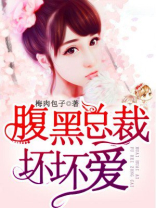 腹黑总裁坏坏爱 冰火未央