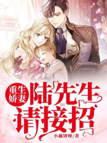 重生娇妻:陆先生,请接招小说