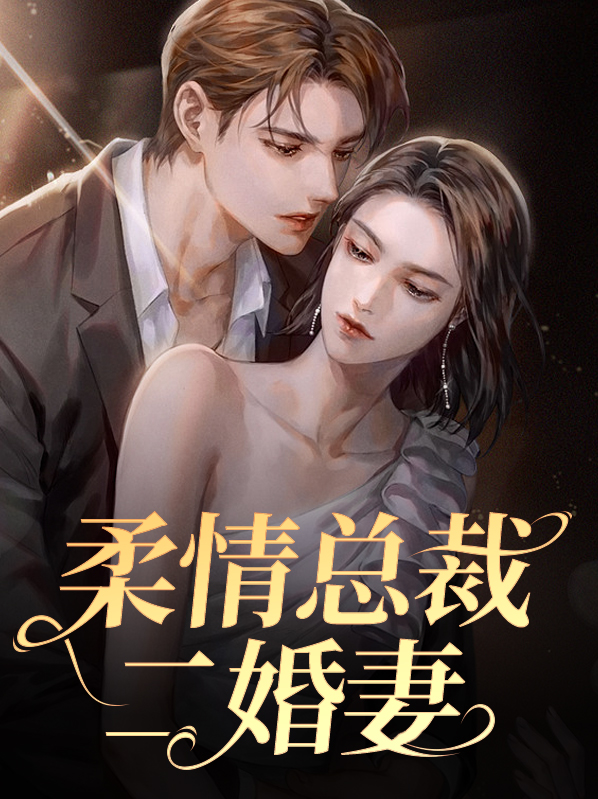 二婚新妻:纯情总裁攻略