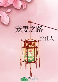 宠妻之路百度网盘