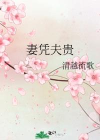 妻凭夫贵全文阅读