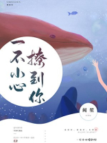 一不小心撩到你全文阅读