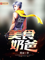 美食奶爸小说