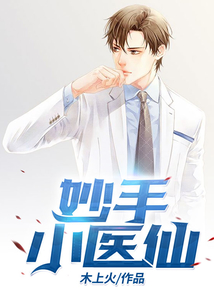 妙手小医仙txt