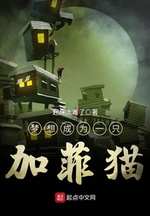 正宗加菲猫多少钱一只