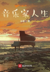 音乐家人生作者文笔太差